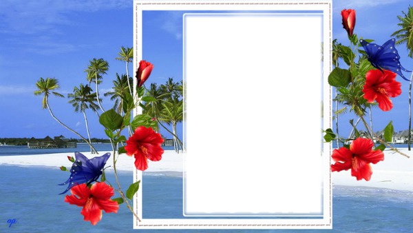 cadre hibiscus Photo frame effect