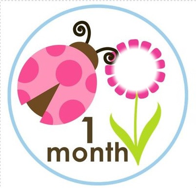 1 month Photo frame effect