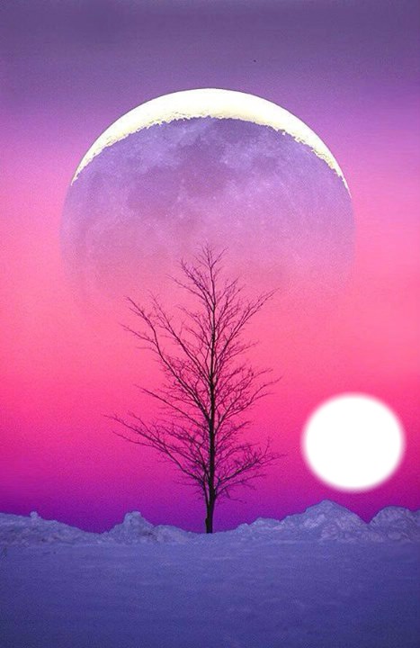moon in winter Photo frame effect