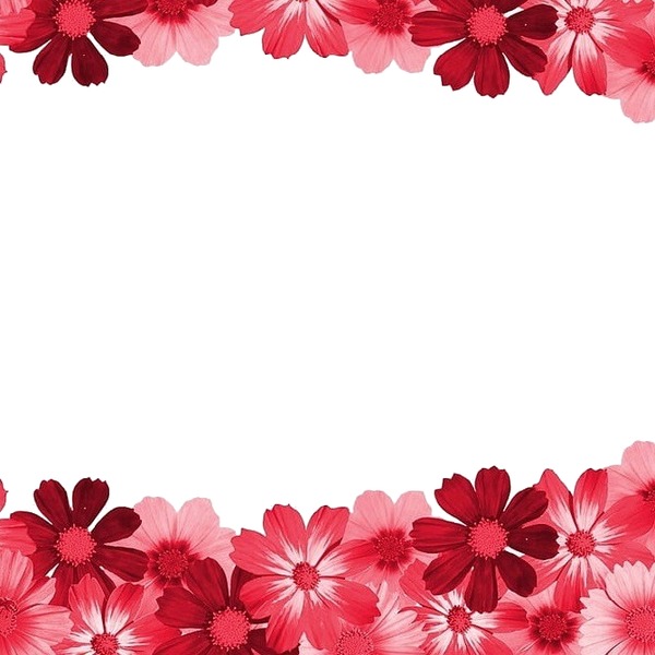 flores rosadas. Fotomontage