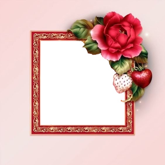 marco y flor fucsia, fondo rosado. Photomontage