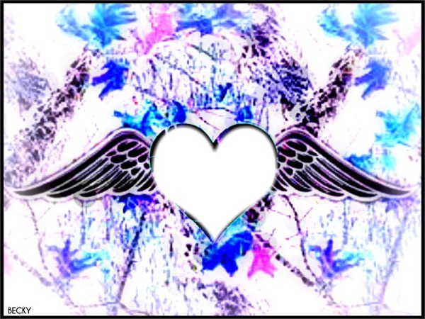 COLOR FULL WINGS Photo frame effect