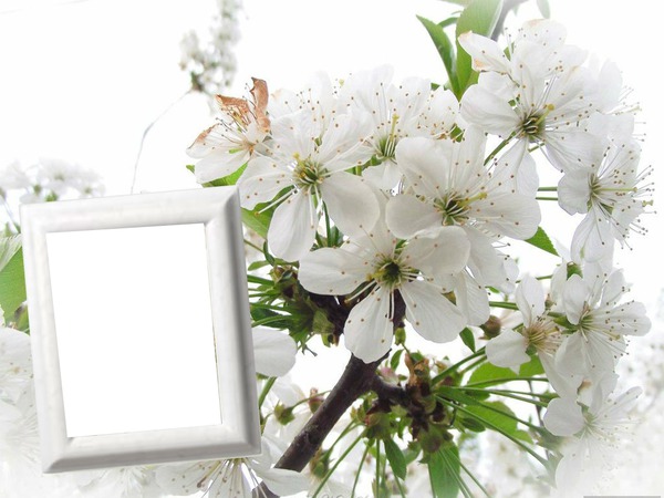 Bouquet de printemps Фотомонтажа