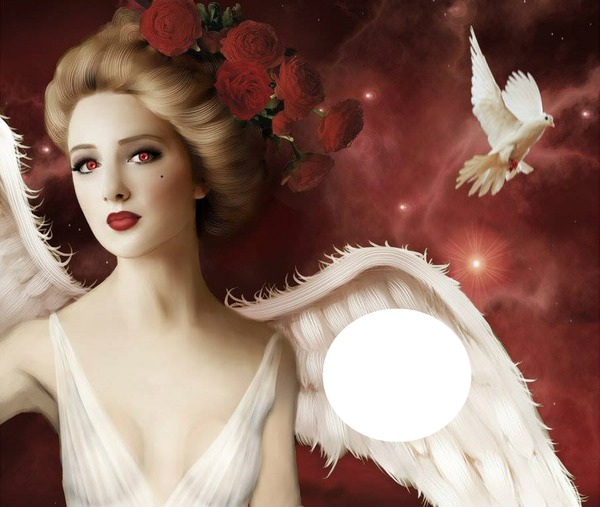 lovely angel Montage photo