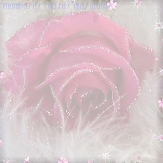 rosa bella Fotomontasje