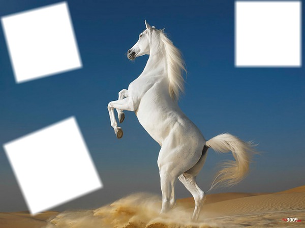 caballo en desierto Montaje fotografico