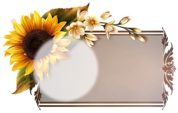 sunflower frame Valokuvamontaasi