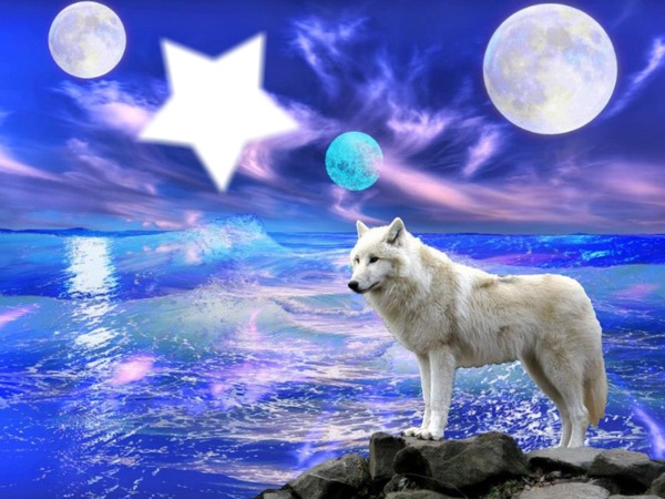 loup blanc Fotomontagem