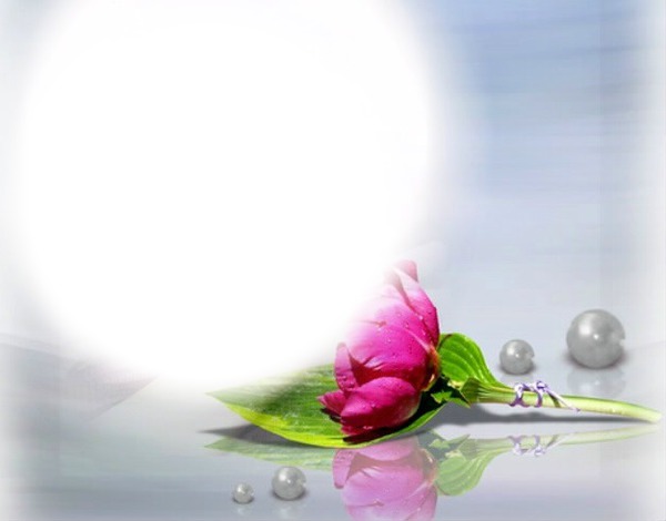Fleur rose - perles - reflet Фотомонтаж