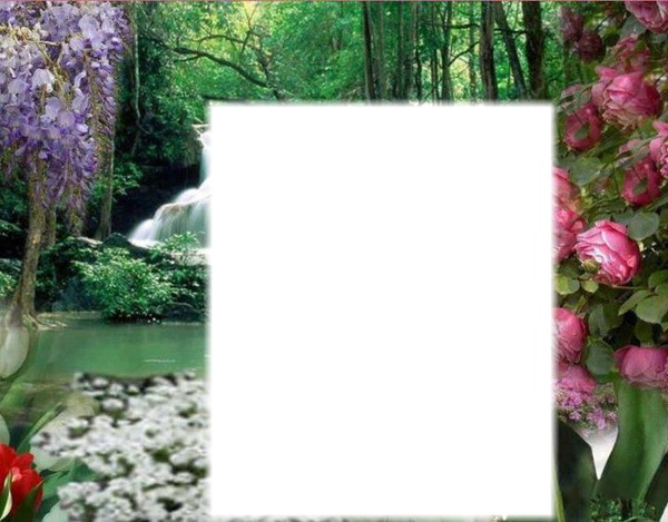 bosque Photo frame effect