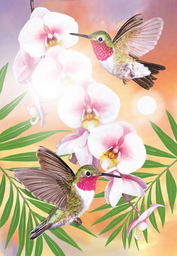 hummingbirds Photo frame effect