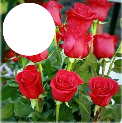 bouquet de roses rouges Фотомонтаж