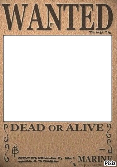 one piece wanted Photo frame effect