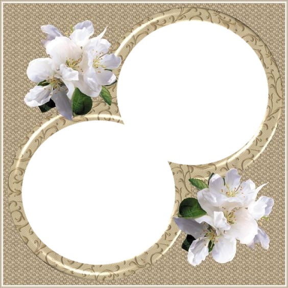 marco circular y flores blancas, 2 fotos. Photo frame effect