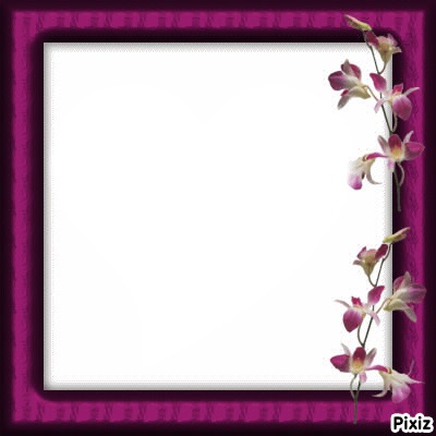 cadre orchidées**** Фотомонтажа