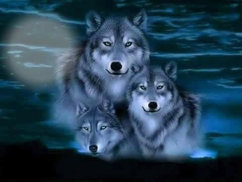 Wolves Fotomontāža