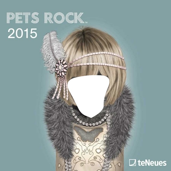 pets rock Photomontage