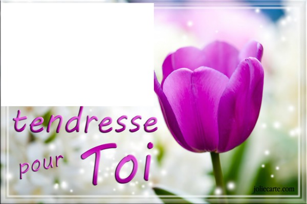 tulipe rose laly フォトモンタージュ