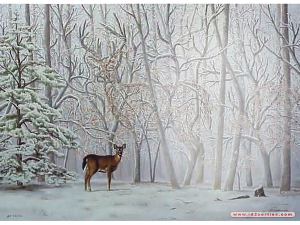 biche forêt neige Photomontage