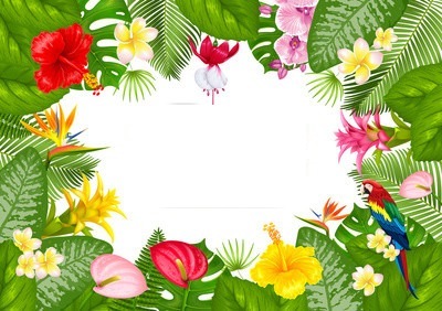 tropical tahiti Photomontage