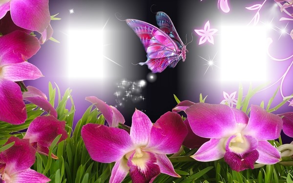 pillangó és virágok Photomontage