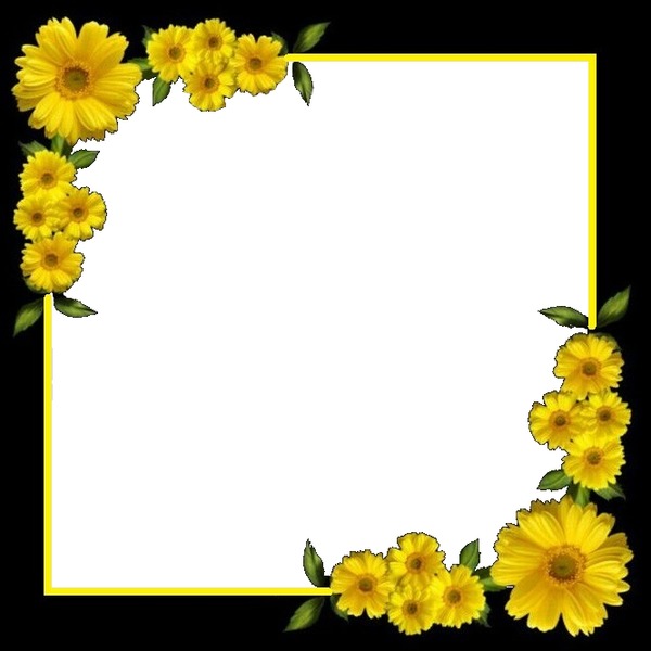 flores amarillas. Fotomontage