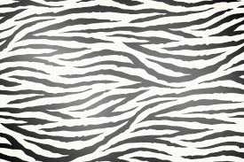 zebra Fotomontáž