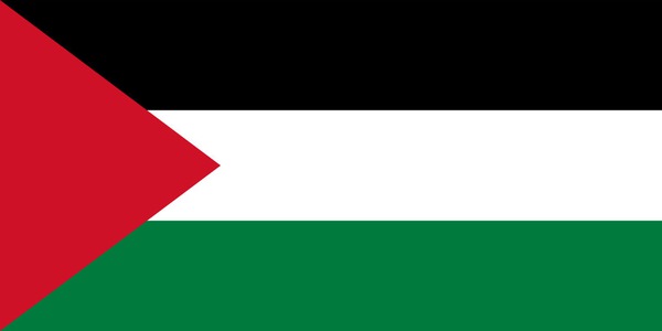 palestine flag Photo frame effect