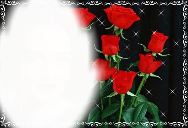 rosas Fotomontasje