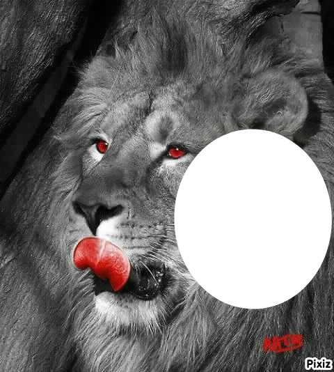 lion2 Fotomontaż
