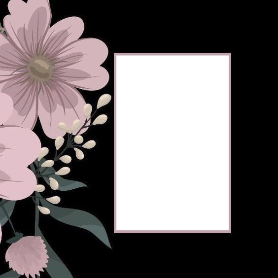 marco y flor lila, fondo negro. Photo frame effect
