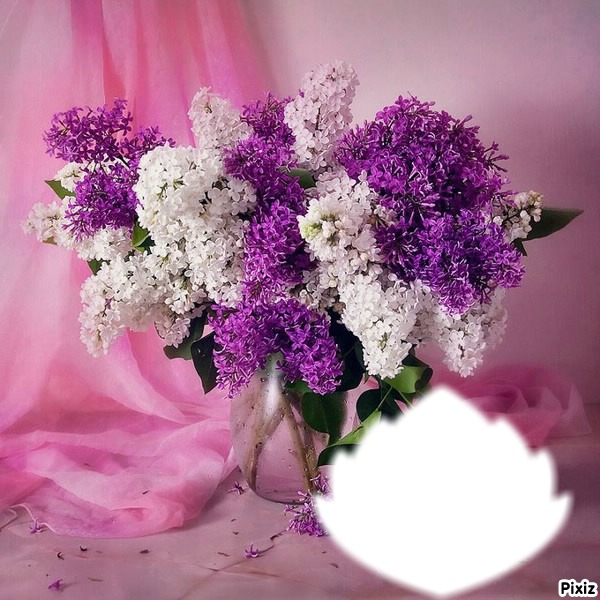 parfum de lilas Photo frame effect