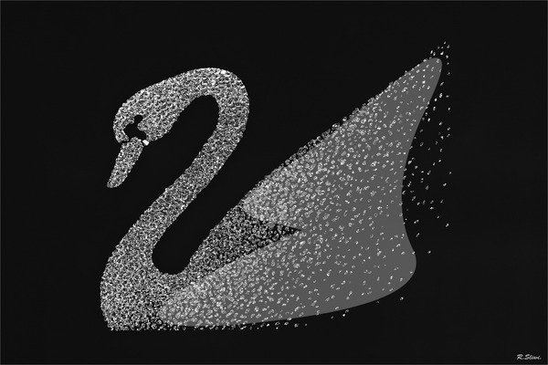 swarovski swan Fotomontage