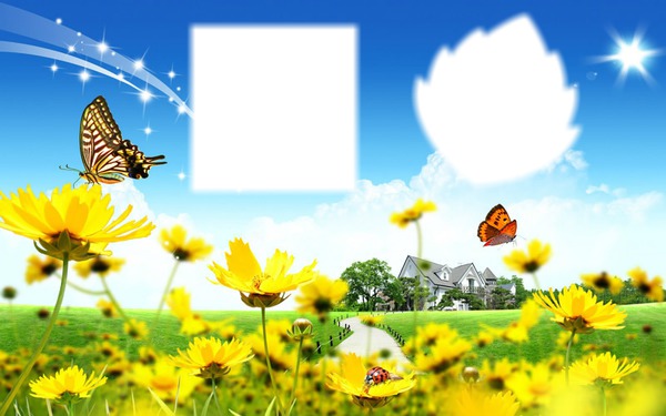 mariposas de primavera Fotomontage