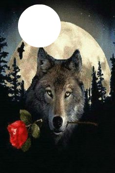 wolf fever Fotomontaggio