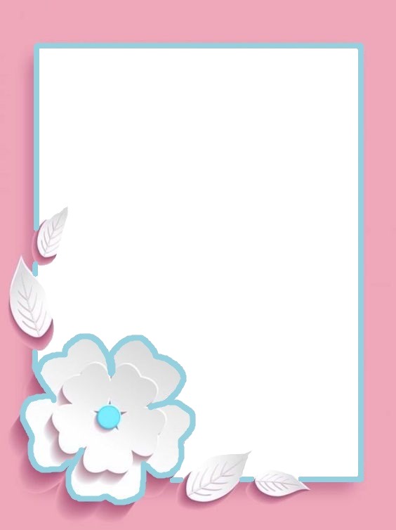 marco rosado, detalle flor. Fotomontaža