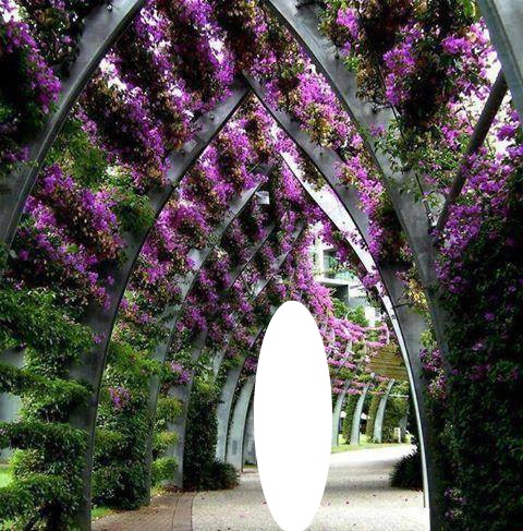 arche de fleurs Фотомонтаж