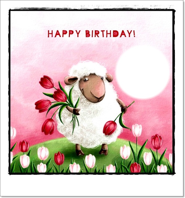 mouton anniversaire Photo frame effect