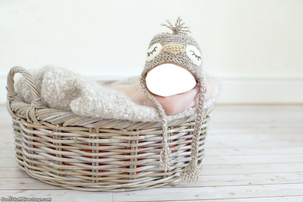 baby basket Fotomontage