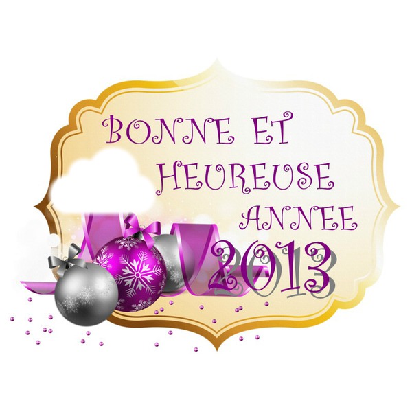 Bonne Année 2013 フォトモンタージュ