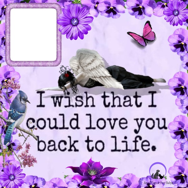 i wish i could love you back to life Fotomontasje