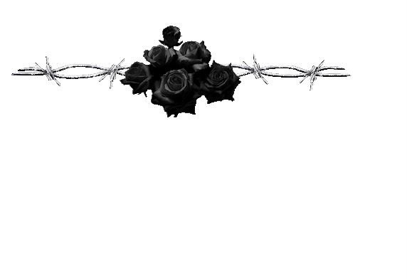 rose noire Fotomontaż