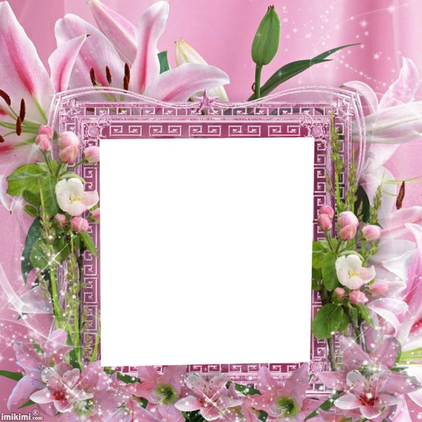 flores rosas Photo frame effect