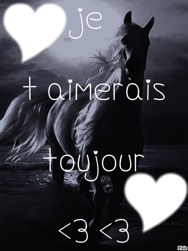 le cheval de l amour <3 Fotomontaż