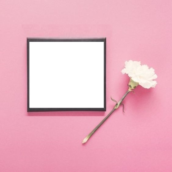marco y un clavel blanco, fondo rosado. Fotomontáž