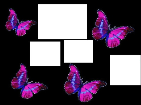papillons4 laly Fotomontaža