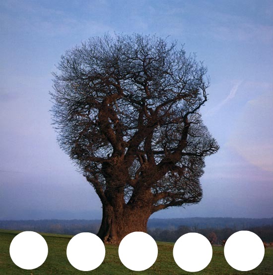 arbre Fotomontage
