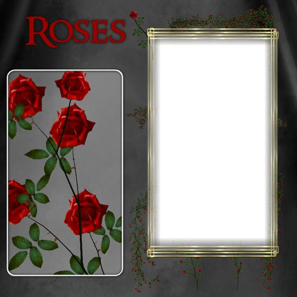 Roses rouge Montage photo