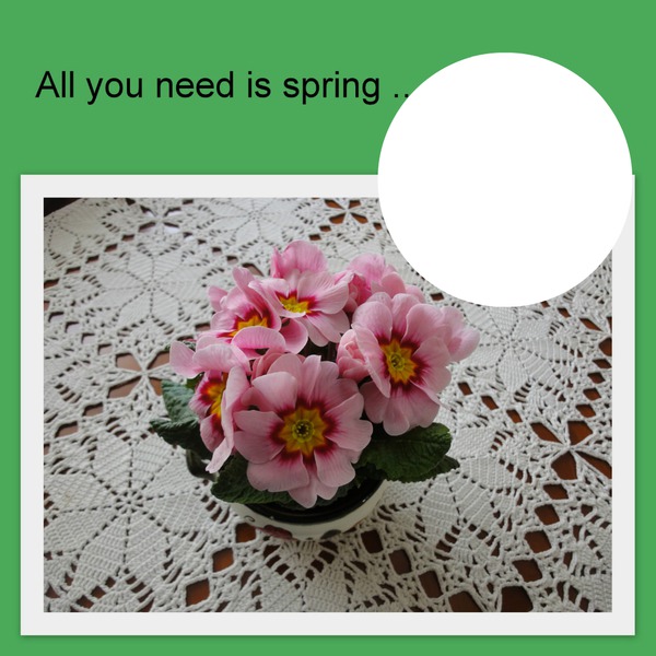 All you need is spring Fotomontage