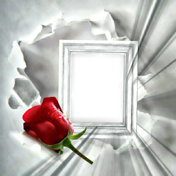 Rose rouge Photo frame effect